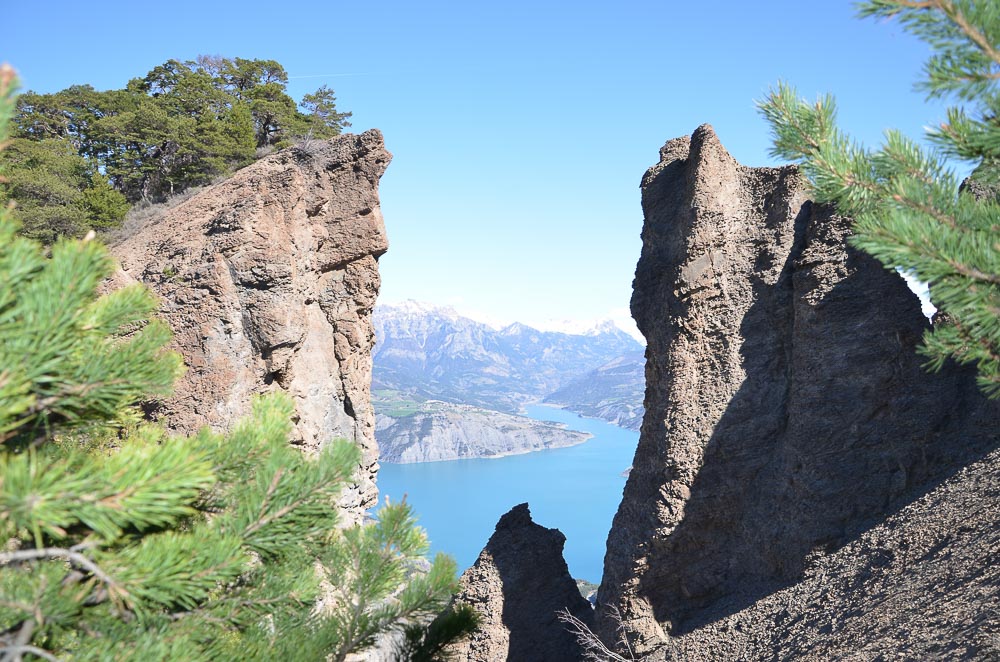 In addition to planting a tree for very booking, we are now also offering a discount if you travel to our destinations by train instead of plane. Get in touch for details. Promoting sustainable and responsible travel! #responsibletravel #sustainabletravel #traintravel #ecotravel