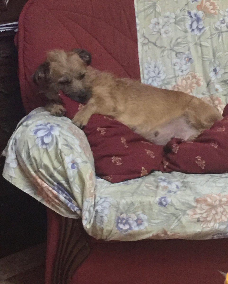 María Belén 💋🪩 tweet media