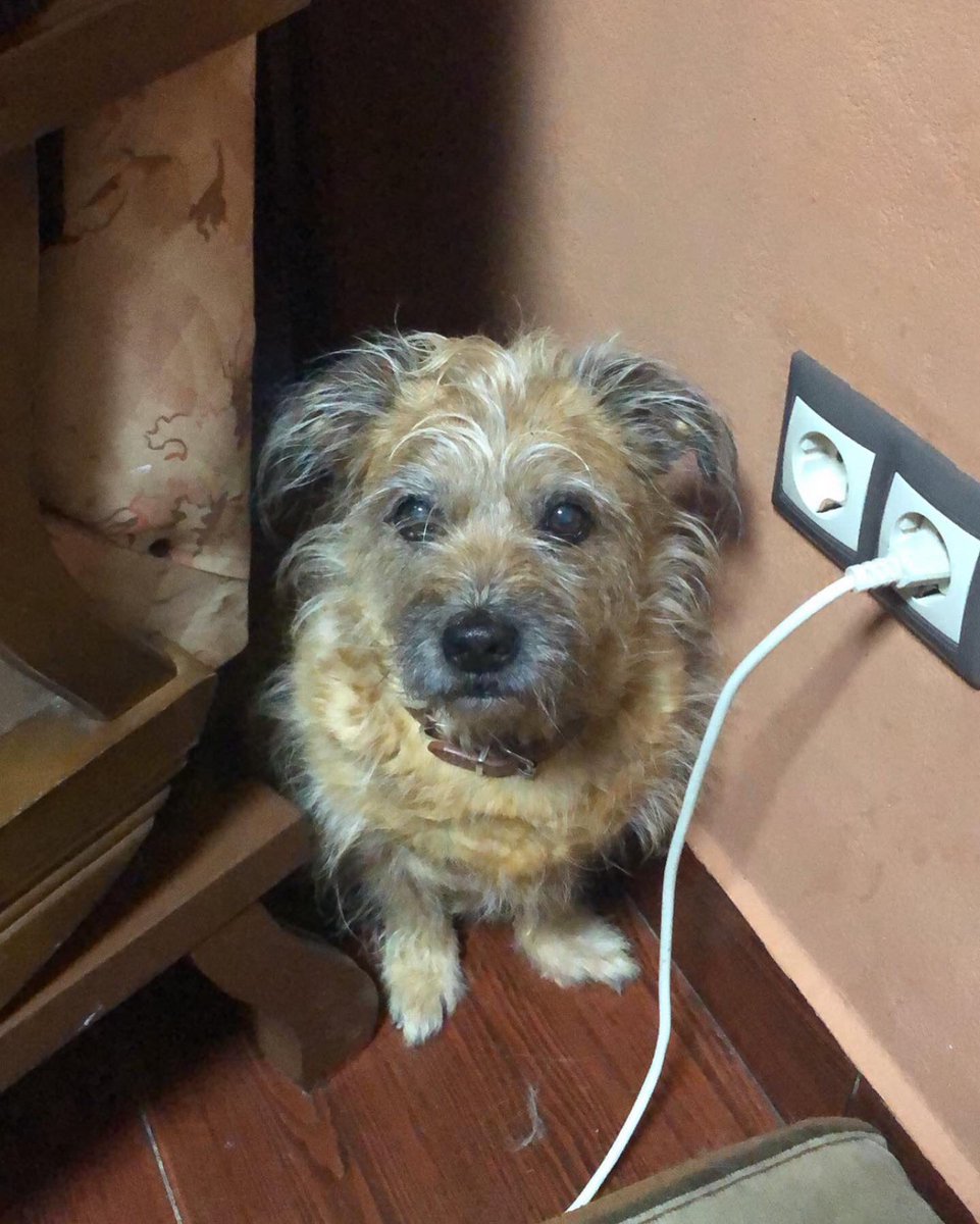 María Belén 💋🪩 tweet media