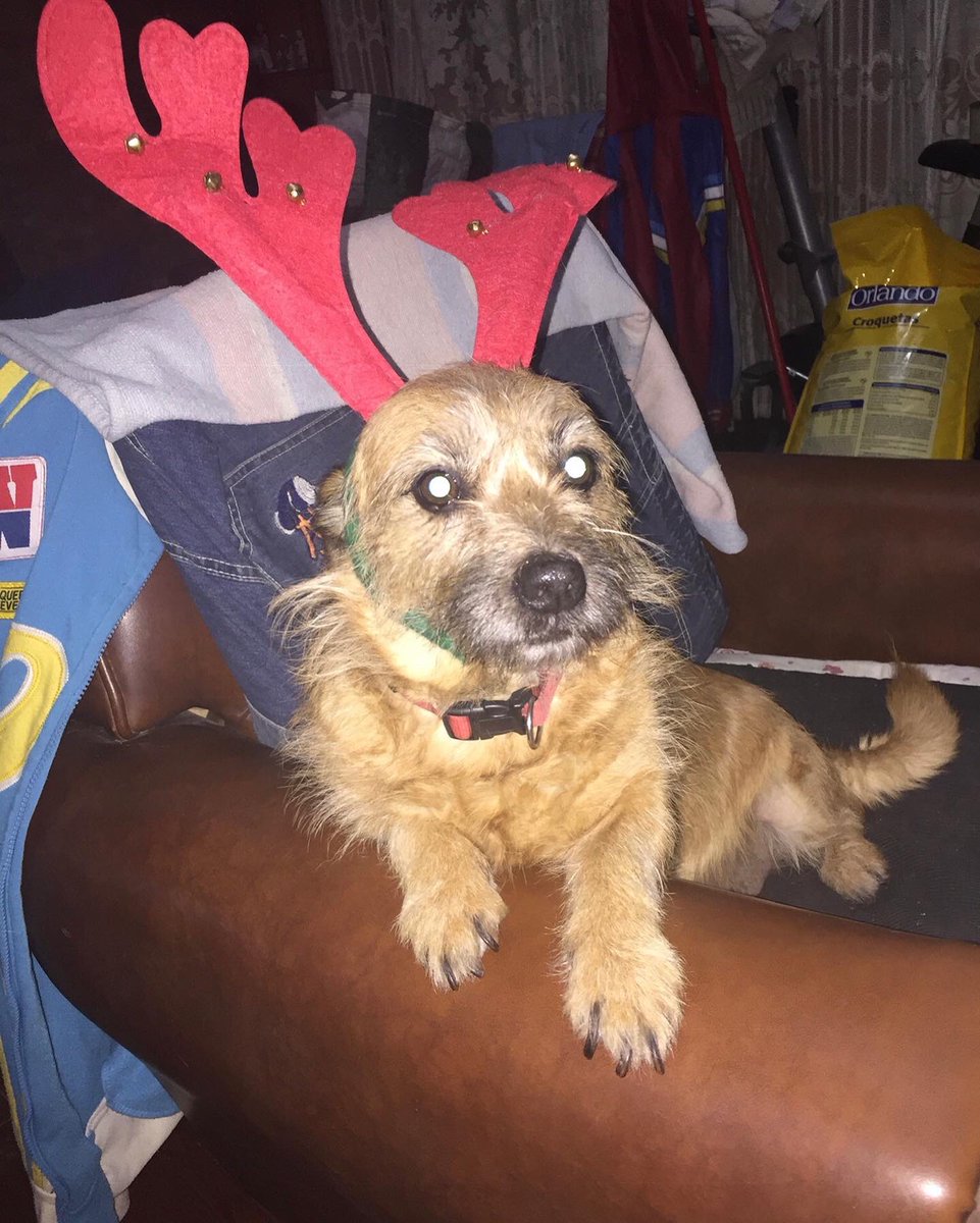 María Belén 💋🪩 tweet media