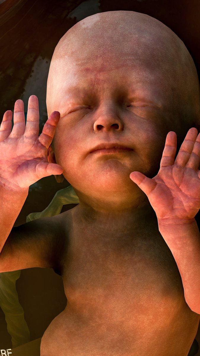 GeekNamedMike's tweet image. #LGF22VPChallenge 

Portraits