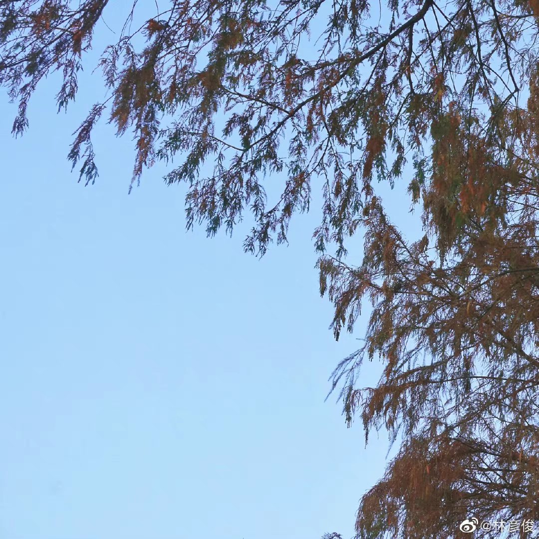 LinYanjun_ID's tweet image. 060422 Lin Yanjun Weibo update 

▶️ Thank you - Junny (주니)

🔗 m.weibo.cn/6068133006/475…

#LinYanjun #林彦俊 #EvanLin