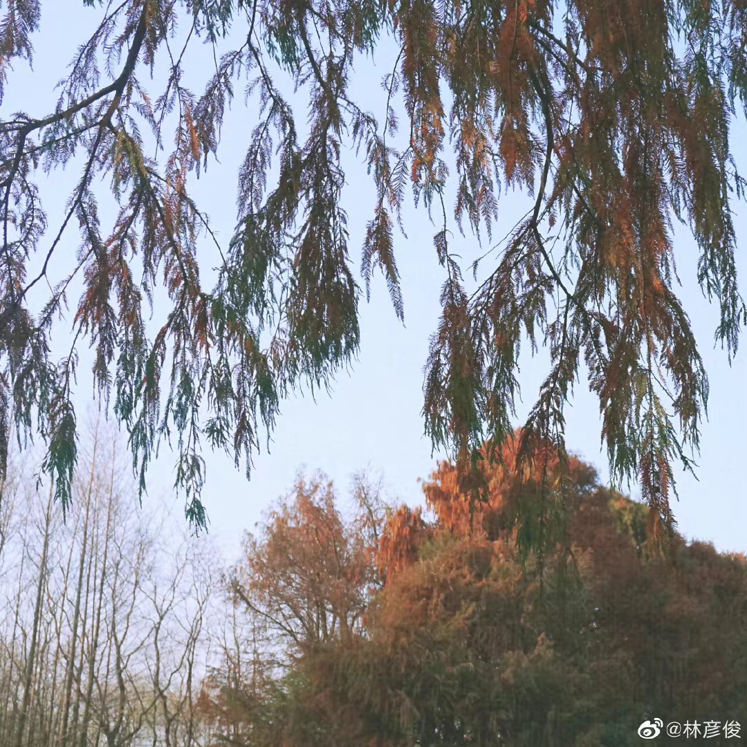 LinYanjun_ID's tweet image. 060422 Lin Yanjun Weibo update 

▶️ Thank you - Junny (주니)

🔗 m.weibo.cn/6068133006/475…

#LinYanjun #林彦俊 #EvanLin