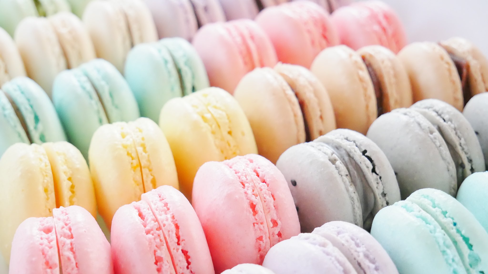 安全shopping 5pcsかわいいマカロンスタイル消しゴム児童学生オフィス学用品 ランダムな色の耐久性と便利で便利で素敵な実用的な処理 Jiangxiuping Rachelbaptista Com Br