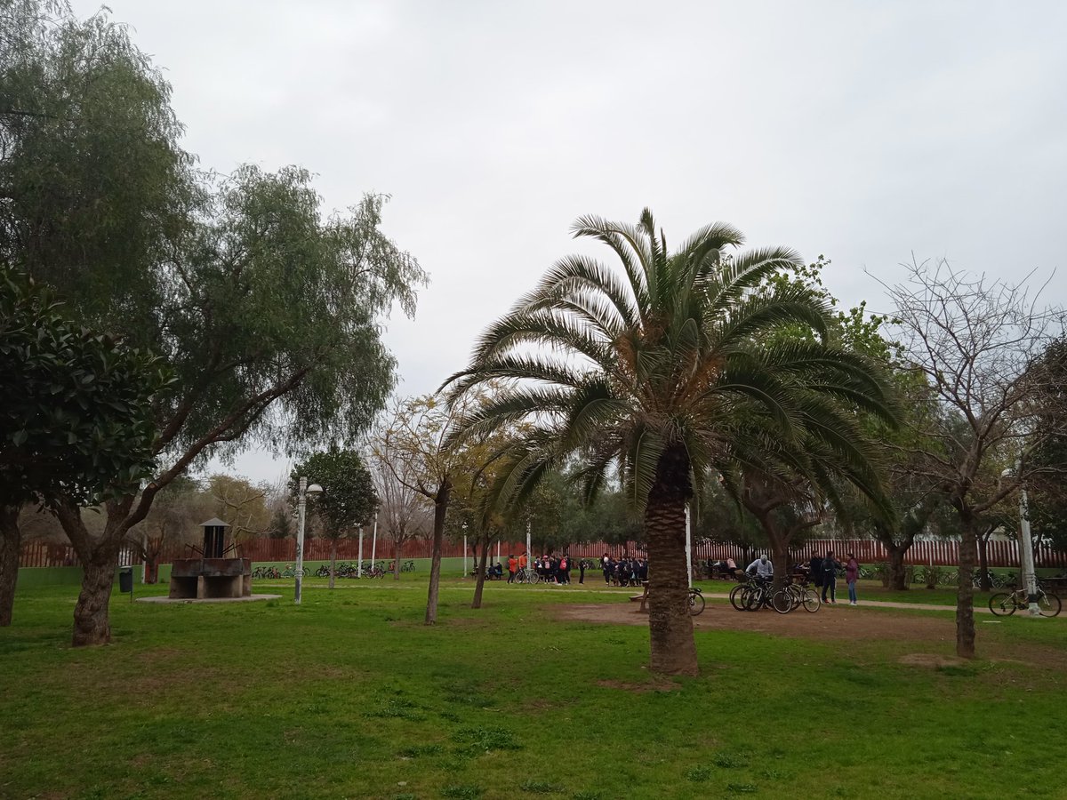 Hardacho tweet media