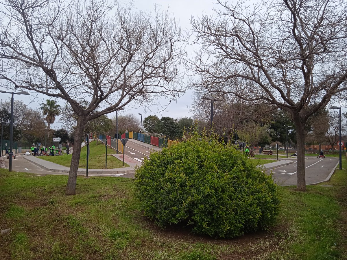 Hardacho tweet media