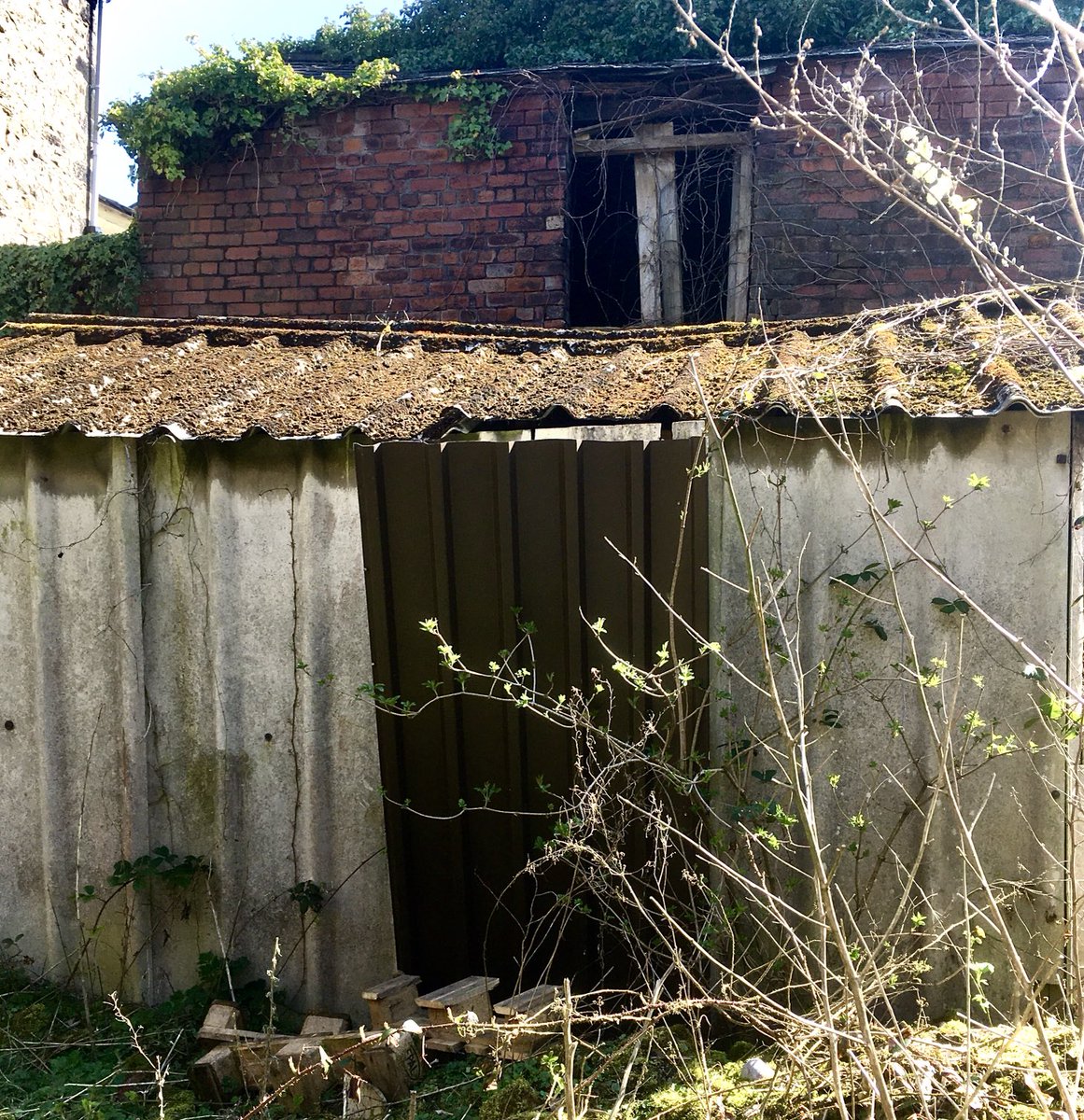 Always looking for faces at those abandoned buildings windows. 
-
#urbanexploration
#grimart
<a href="/GrimArtGroup/">Grim Art</a>