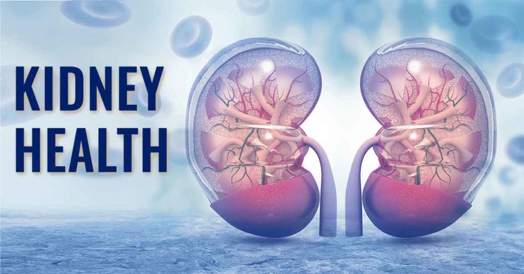 bra_eko's tweet photo. Common habits that can destroy your kidneys
-Abusing painkillers
-Drinking too much alcohol
-Smoking
-Not drinking enough water
-Eating too much salt and sugar
-Eating too much processed food
-Eating too much meat and fat
-Lack of exercise and enough sleep
#HealthTipsWithEKO https://t.co/eHg0LWbP2P