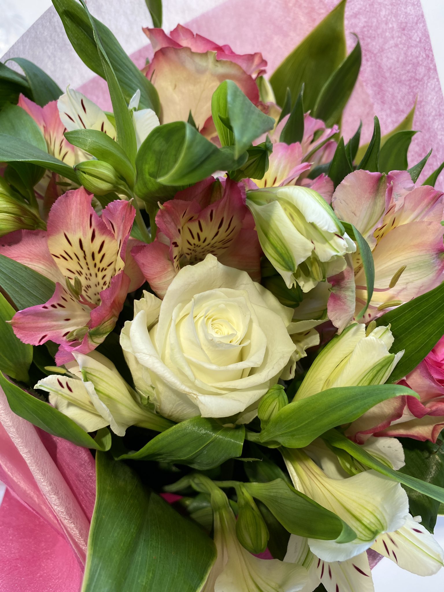 ワンダー765 Fmcocolo765 ワンダー765 Nami765 花キューピット Flowers In Style 765花 をつけて お花の写真をインスタに投稿してくださった方の中から 毎月お2人に花束をプレゼント 今月は アルストロメリア が入った花束です 公式