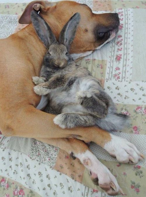 AnimalsPics69's tweet photo. https://t.co/HGPBfbGE30