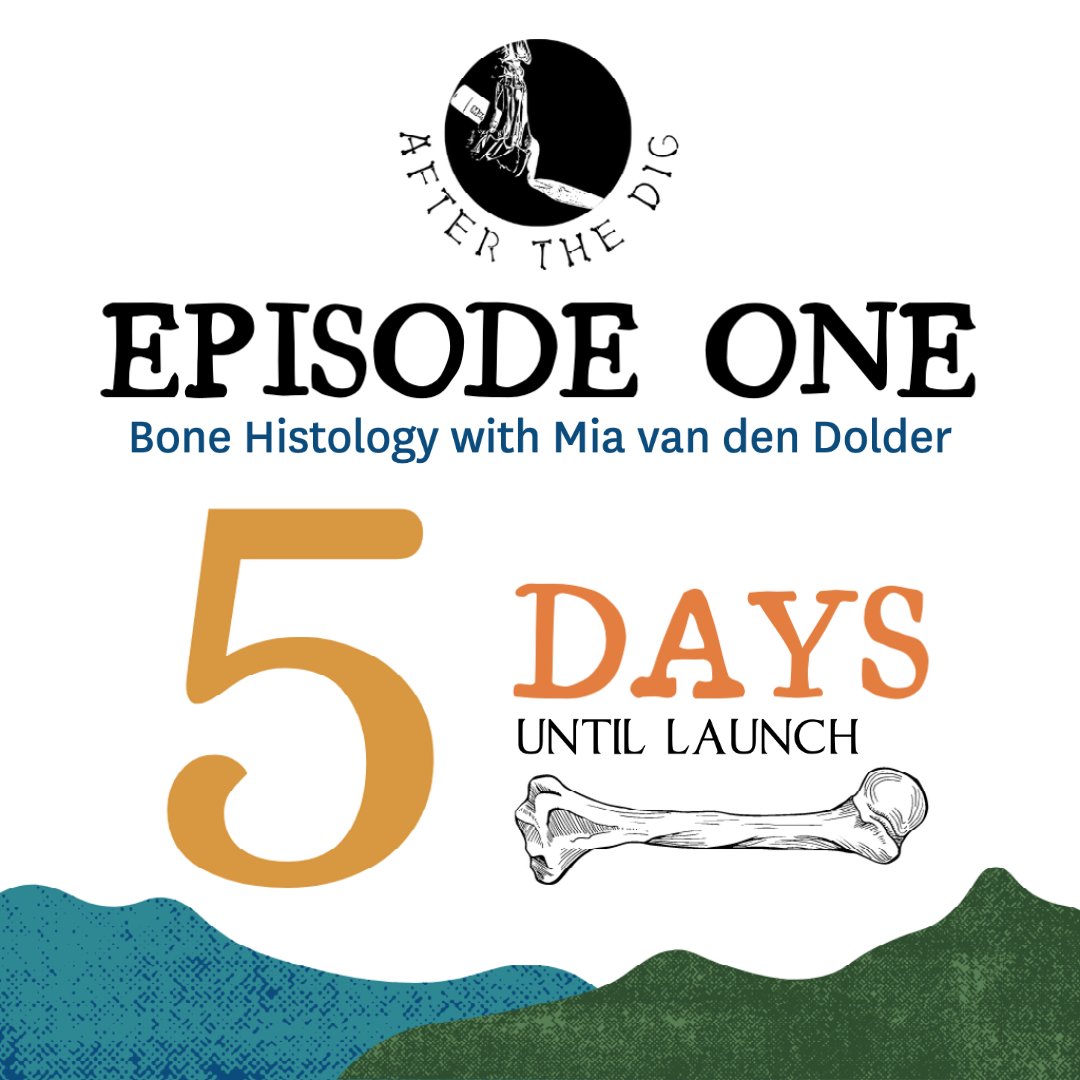 AfterTheDig's tweet photo. NEXT MONDAY ➡️ Catch @BoneDecipherer & @DolderMia talking all things #bone #histology🔬🦴
📌Episode One of #AfterTheDig launches 11/04/22 🎉 https://t.co/mQHWL4w06W