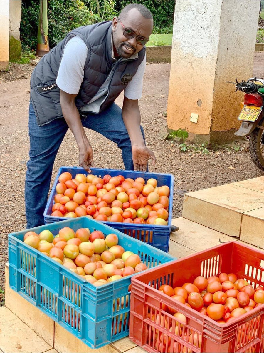 KenaravaGroup's tweet photo. "Africa’s future billionaires and millionaires will make their money from agriculture" @akin_adesina 

Do you Agree or Disagree? What do you think?

#MoneyInTheSoil

📷 @rodgers_kirwa https://t.co/sooTn8s6n0