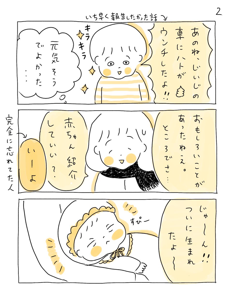 初めての対面、一部始終(0歳0ヶ月/3歳)

#育児漫画 #育児絵日記 