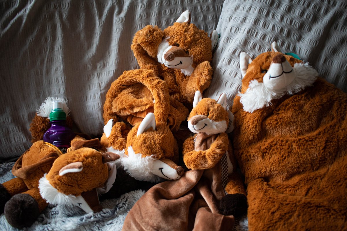 We’ve litter-ally gone Fox mad!
 
These gorgeously soft and cuddly Foxes have landed in our Shops and we LOVE them!