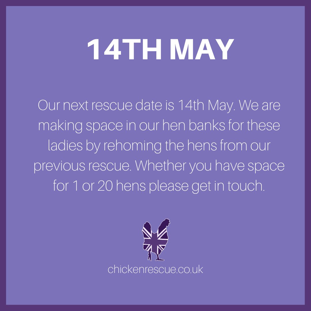 14th May is our next rescue. We are making space in our hen banks by rehoming the last hens from our previous rescue. Whether you have space for 1 or 20 hens please get in touch bit.ly/3MKqbaB #chickenrescueuk #chickenrescue #rehomingchickens #rescuechickens