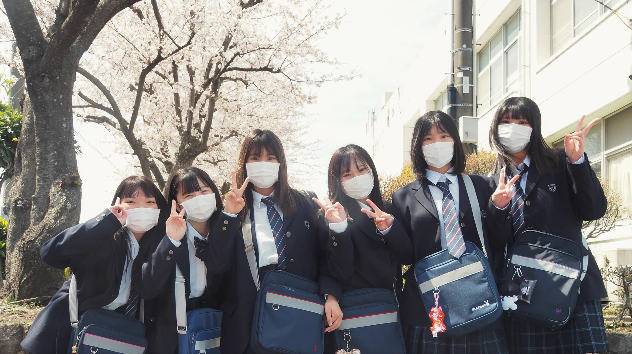 神奈川 県立 平塚 湘風 高等 学校