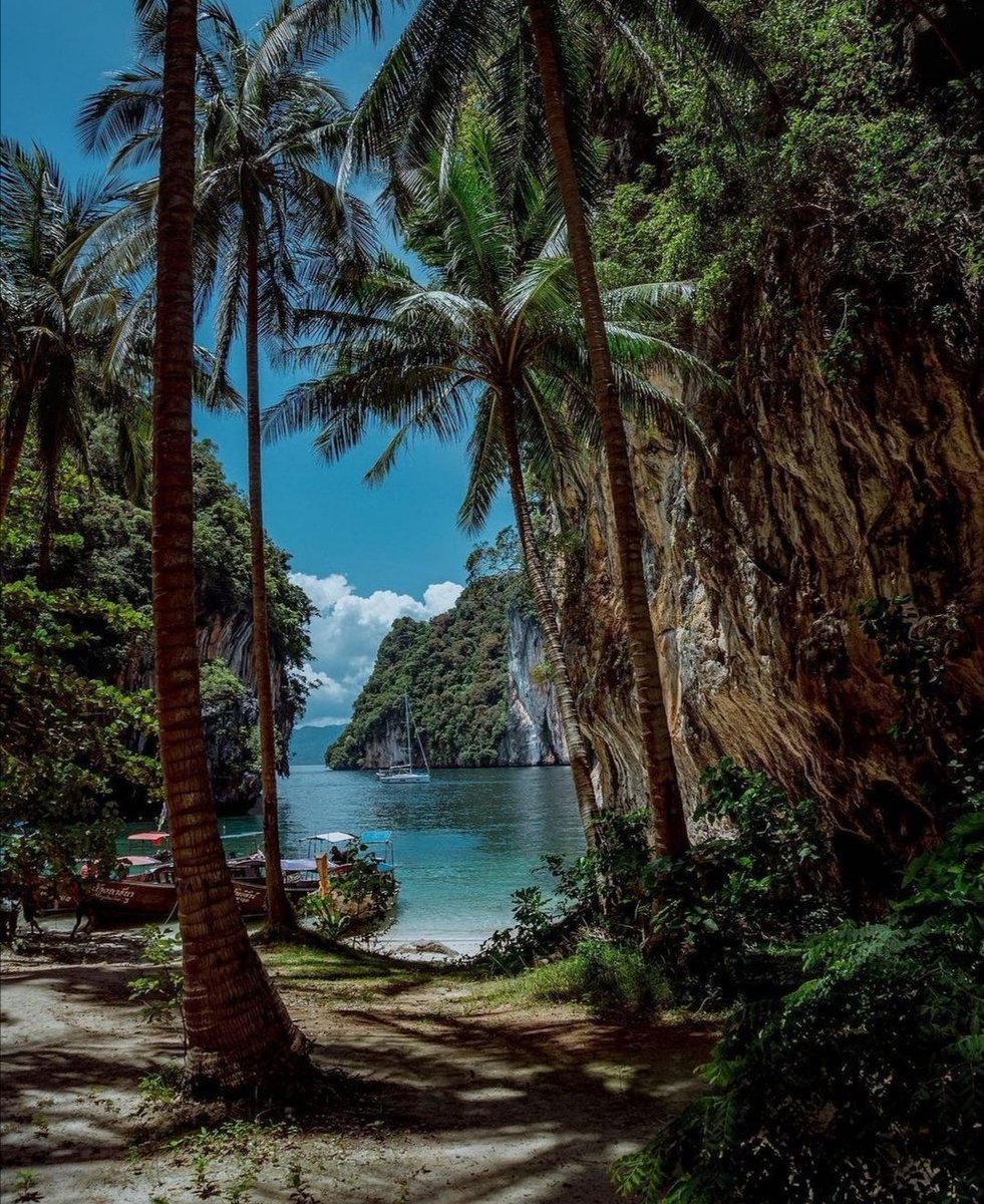 MirkoVasi2's tweet photo. Truly paradise 💙🙏👍🌴🌊 https://t.co/zR7NtyqxxZ