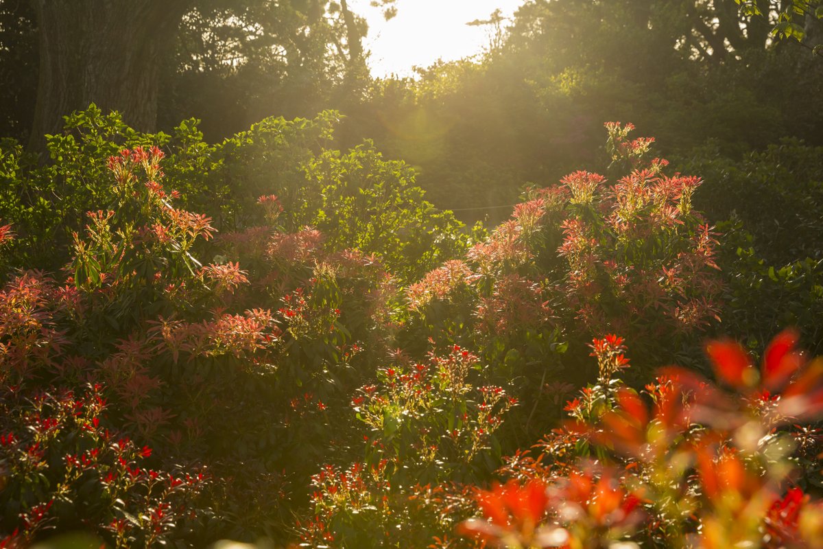 nationaltrust tweet picture