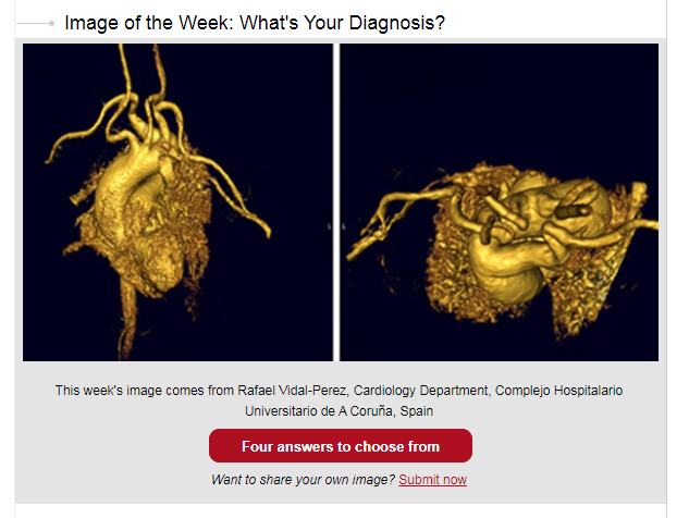 rafavidalperez tweet media