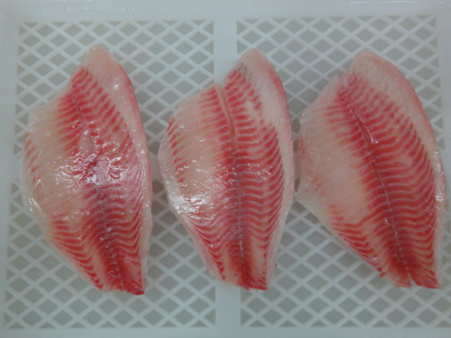 BillionFishFish's tweet photo. Tilapia Fillets 
all range sizes: 3/5, 5/7, 7/9, 9/11oz 
PM for more details or email to yangjun03@billionfish.com https://t.co/YwKQ8QVpAd