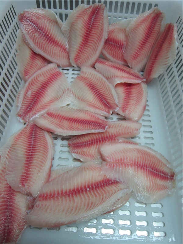BillionFishFish's tweet photo. Tilapia Fillets 
all range sizes: 3/5, 5/7, 7/9, 9/11oz 
PM for more details or email to yangjun03@billionfish.com https://t.co/YwKQ8QVpAd