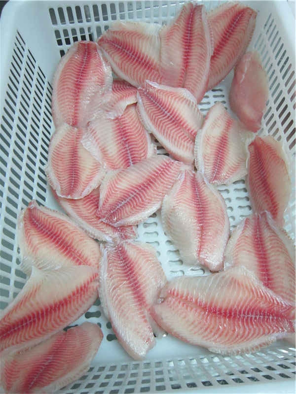 BillionFishFish's tweet photo. Tilapia Fillets 
all range sizes: 3/5, 5/7, 7/9, 9/11oz 
PM for more details or email to yangjun03@billionfish.com https://t.co/YwKQ8QVpAd