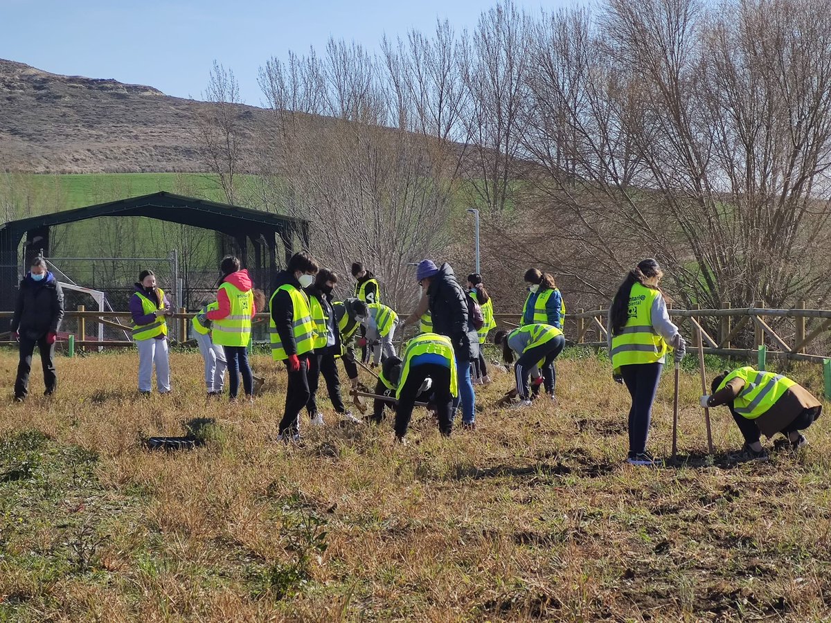 fundacionO2's tweet photo. #Arroyal
Segunda jornada de plantación con los alumnos del IES Conde Diego Porcelos, mucha entrega y ganas de mejorar el entorno, a la vez que aprender la importancia de participar activamente en estas actividades. https://t.co/R9ei6faf6v