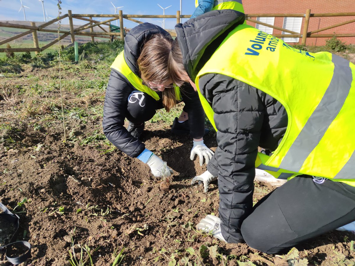 fundacionO2's tweet photo. #Arroyal
Segunda jornada de plantación con los alumnos del IES Conde Diego Porcelos, mucha entrega y ganas de mejorar el entorno, a la vez que aprender la importancia de participar activamente en estas actividades. https://t.co/R9ei6faf6v