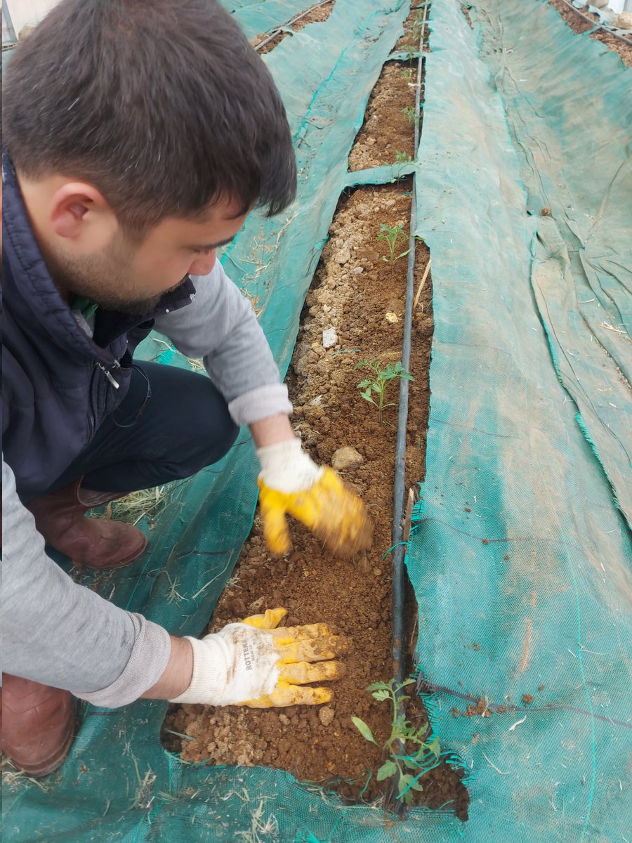 Bahar dikimini yaptık.
<a href="/ertugrultosunog/">Ertuğrul TOSUNOĞLU</a> 
<a href="/atakankochan/">atakan koçhan</a> 
<a href="/tcmeb/">Millî Eğitim Bakanlığı</a> 
<a href="/erdem_sungun/">ERDEM SUNGUN</a>