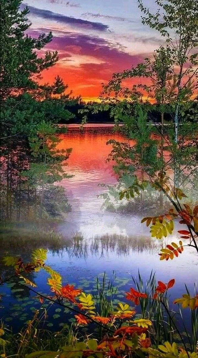 ninscrystal's tweet photo. "Peace can become a lens through
         which you see the World."

    🧡🌴🕊 #NatureBeauty 🕊🌴🧡 https://t.co/tmjzmssFbE