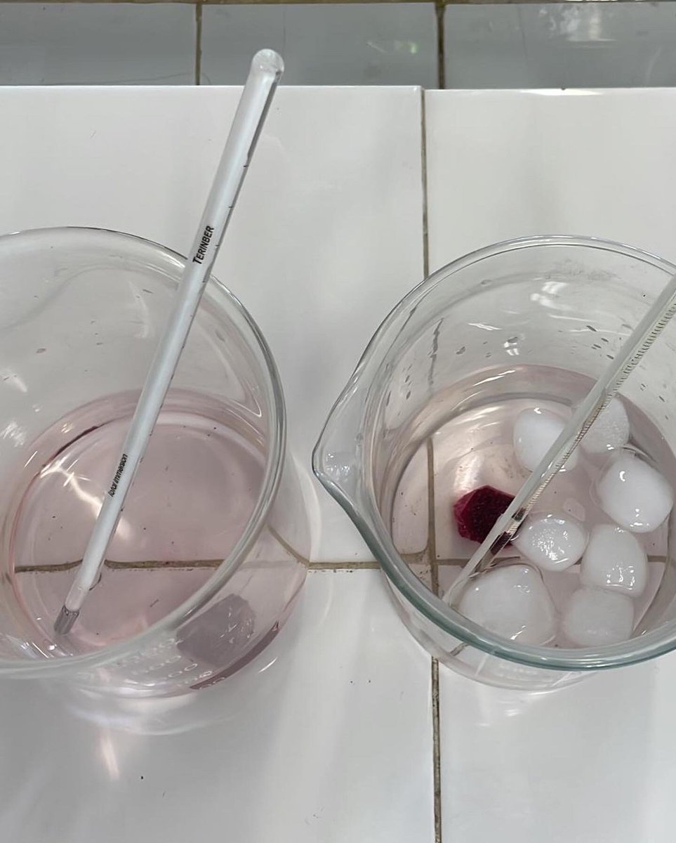 SpaceVirolai's tweet photo. Els científics tornen a realitzar el mateix experiment de l’ osmosis però aquest cop per comprovar si la temperatura podria ser quelcom rellevant. Això ho han comprovat afegint gel a una de les solucions. 
#importants #VSP  #HABCAT #escolavirolai https://t.co/cunYmIFncL