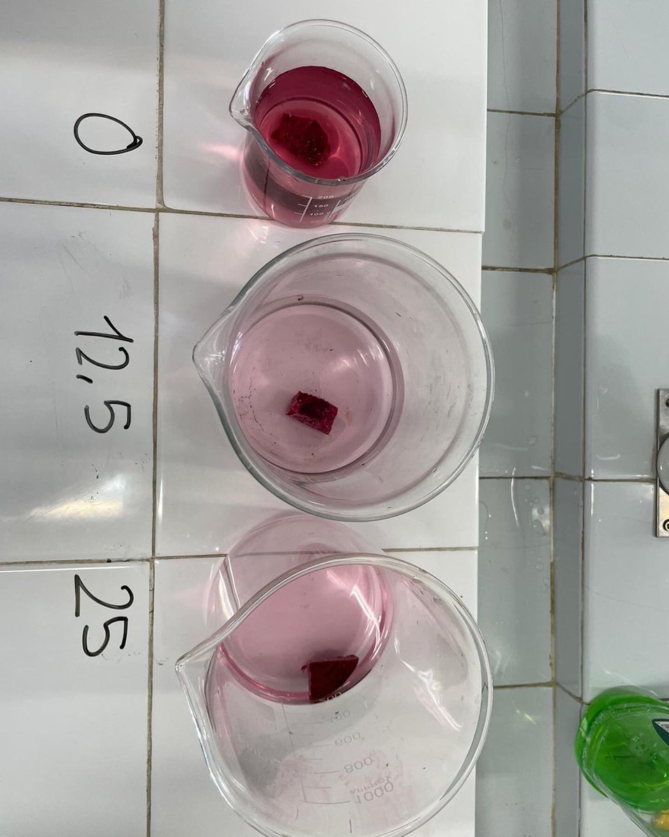 SpaceVirolai's tweet photo. Comencem un nou experiment al nostre laboratori. Avui volem comprovar el procés d’osmosis, que consisteix en saber com equilibrar les concentracions de sòlid i líquid. Esperem els resultats! 
#importants #VSP  #HABCAT #escolavirolai https://t.co/occVowbaIl