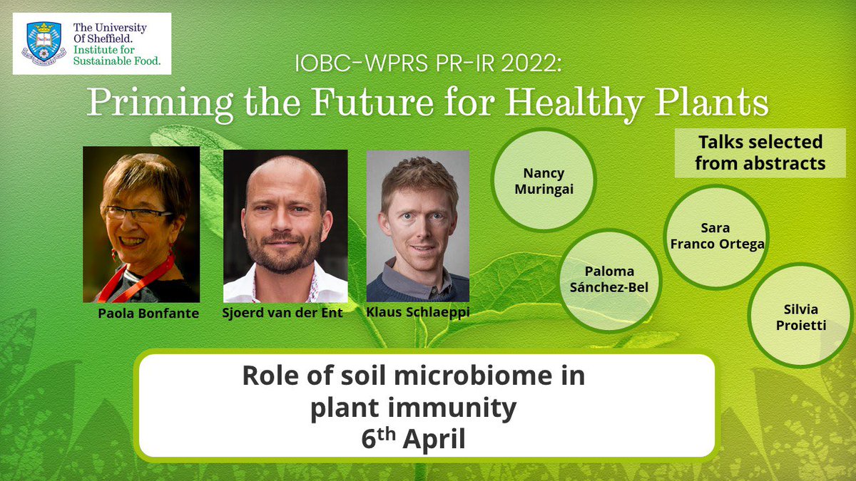 IobcIr's tweet photo. Early start for the 3rd day of #IOBCSHEFF with the session of the role of soil microbiome in plant immunity https://t.co/i5pNClWUS0
