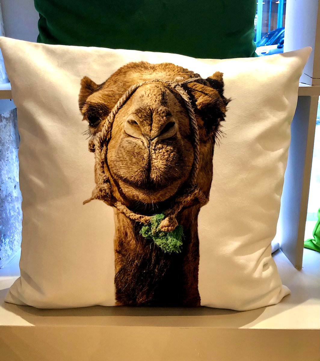 focusonparis's tweet photo. Wednesday whimsy: creative #design custom interior paints, #papierpeints, more. By Penelope Farrow &amp;. Ball
7 rue Francoeur 75018 #Paris #interiors #deco #homedecorating #smallboutiques #montmartre https://t.co/fVjudwvnHj https://t.co/jEjAhOOAjK