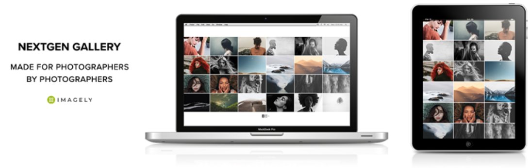 educatewp's tweet photo. NextGEN Gallery can be used as one of the #WordPress blog plugins for your gallery. It has all the features and elements that you’ll ever need on your blog gallery and can be easily used. https://t.co/vhmpr5Mly7