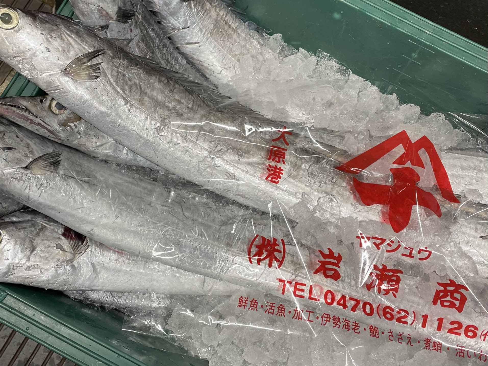 料亭旅館 大和 丹波市 松茸 山菜 太刀魚10kgで１２匹 仕入れました 三枚卸しにして 立塩に１時間半漬け込み 塩焼き用に成形しました T Co Rbjjd2ed9s Twitter