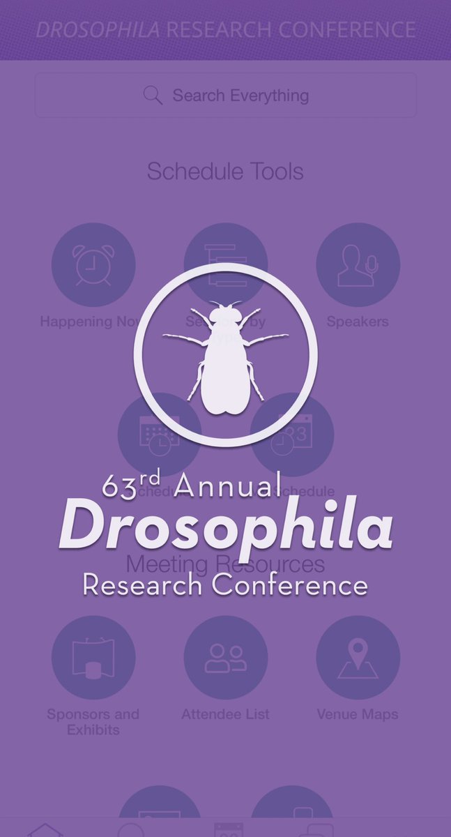 SherliTanSLT's tweet photo. I’ll be presenting my poster online at #Dros22 which is my first Drosophila Research Conference 😁 very excited although I can’t be there in person. Check out my poster on Dros22 App: https://t.co/j5rygt8IIr #Dros22 @GeneticsGSA https://t.co/woVaXI5OuX