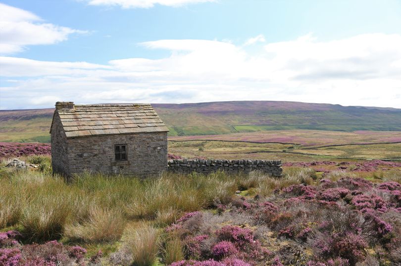 A quaint grouse moor is up for sale in the North Pennines AONB: £750,000.

It's been quite heavily burnt, but with the right stewardship a mosaic of moorland habitats could be regenerated to create an attractive re-wilding project.

So this place needs an NGO or rewilder.