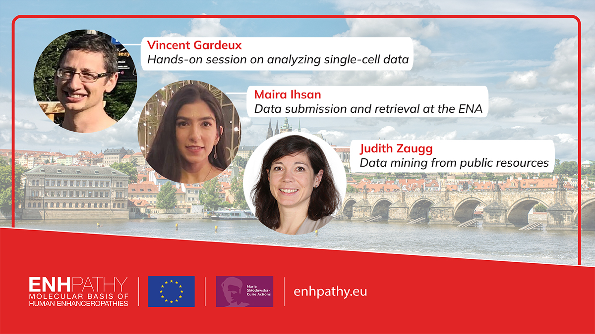 ENHPATHY (@enhpathy_h2020) on Twitter photo No time to get bored. Half-time retreat Day#3 with Vincent Gardeux <a href="/gardeux_vincent/">Vincent Gardeux</a> <a href="/EPFL/">EPFL</a> Maira Ihsan <a href="/emblebi/">EMBL-EBI</a> and Judith Zaugg <a href="/zauggj/">Judith Zaugg</a> <a href="/embl/">EMBL</a>
<a href="/MSCActions/">Marie Skłodowska-Curie Actions</a> No time to get bored. Half-time retreat Day#3 with Vincent Gardeux <a href="/gardeux_vincent/">Vincent Gardeux</a> <a href="/EPFL/">EPFL</a> Maira Ihsan <a href="/emblebi/">EMBL-EBI</a> and Judith Zaugg <a href="/zauggj/">Judith Zaugg</a> <a href="/embl/">EMBL</a>
<a href="/MSCActions/">Marie Skłodowska-Curie Actions</a>