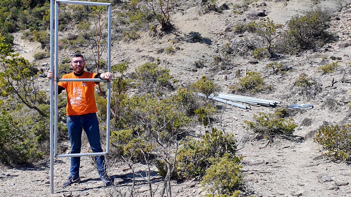 AOS - Albanian Ornithological Society (@aos_alb) on Twitter photo A new supplementary food station for the #EgyptianVulture
A new “#restaurant” with safe food has been built recently in Fier of Hotova-Dangëlli National Park, #Vjosa valley, to welcome the arrival of the #EgyptianVulture this breeding season.
<a href="/NeophronReturns/">Neophron Returns</a> <a href="/AOS_ALB/">AOS - Albanian Ornithological Society</a> A new supplementary food station for the #EgyptianVulture
A new “#restaurant” with safe food has been built recently in Fier of Hotova-Dangëlli National Park, #Vjosa valley, to welcome the arrival of the #EgyptianVulture this breeding season.
<a href="/NeophronReturns/">Neophron Returns</a> <a href="/AOS_ALB/">AOS - Albanian Ornithological Society</a>