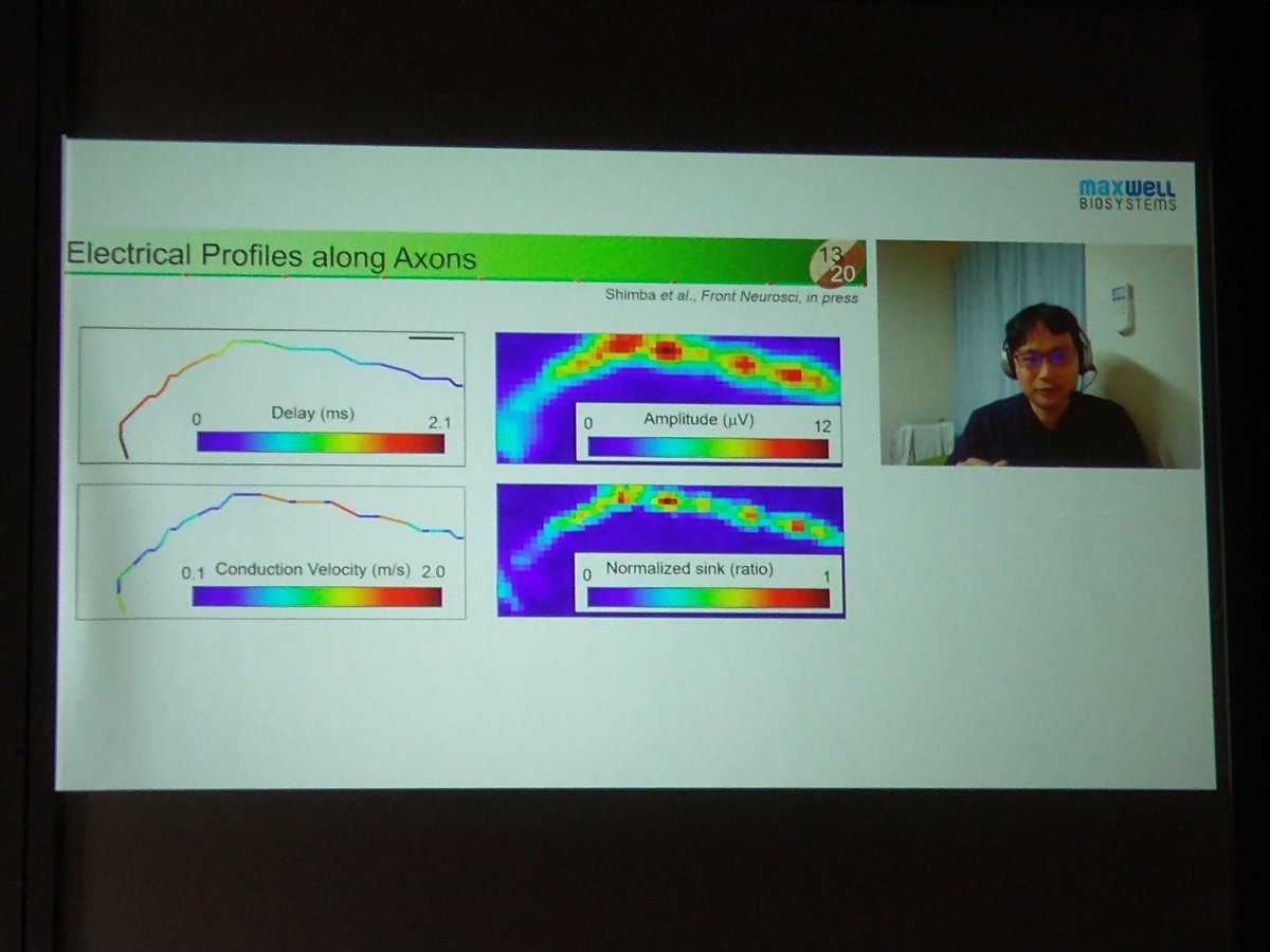 janm101's tweet photo. Beautiful axon tracking data presented by Dr. Kenta Shimba. By doing postprocessing and smoothing of the recorded data, it's possible to track even the tiny signals of myelinated axons, impressive! https://t.co/18ZO7SuM78