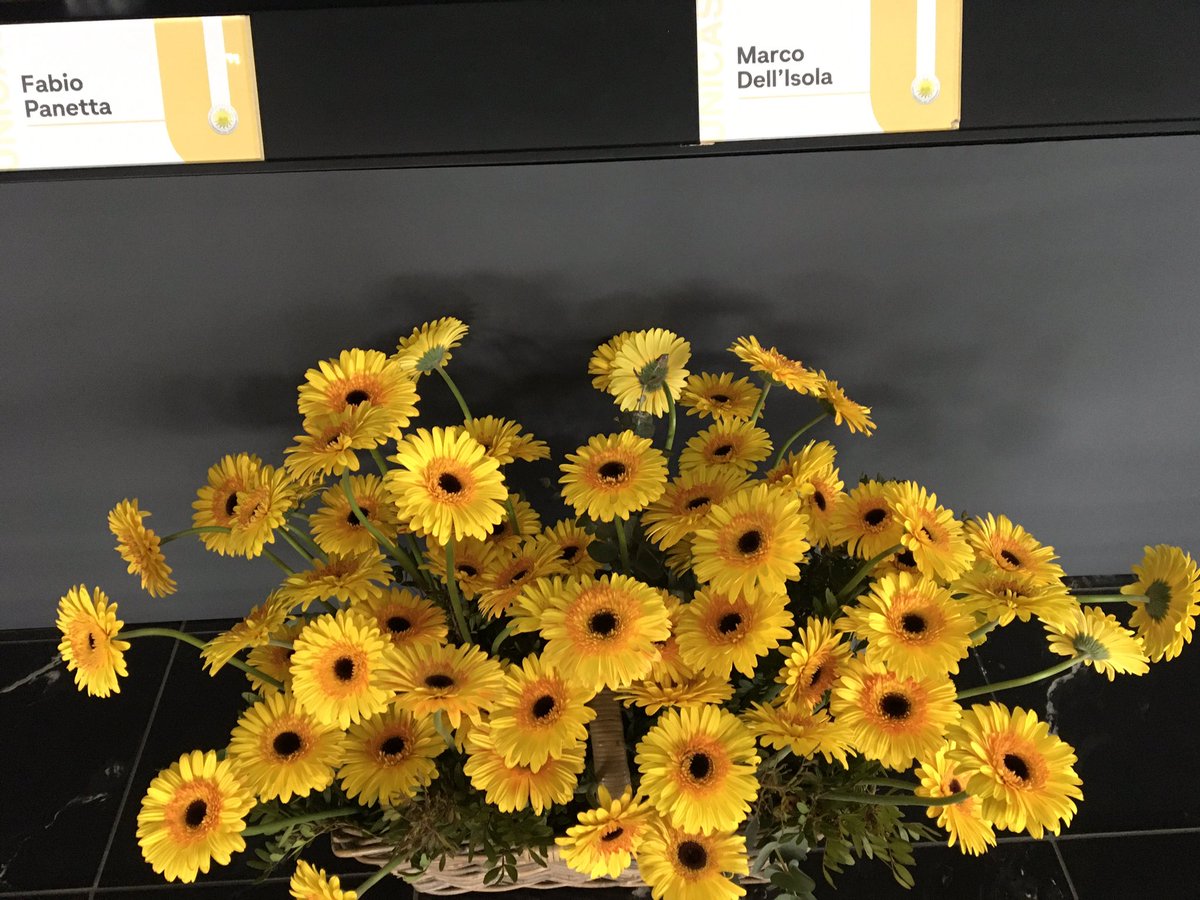 uni_cassino's tweet photo. 🌼 Tutto pronto in aula magna per la cerimonia di inaugurazione del 43º anno accademico dell’Università degli Studi di Cassino e del Lazio Meridionale 🌼 #Unicas #Comunicas https://t.co/lQxZVRFUIe
