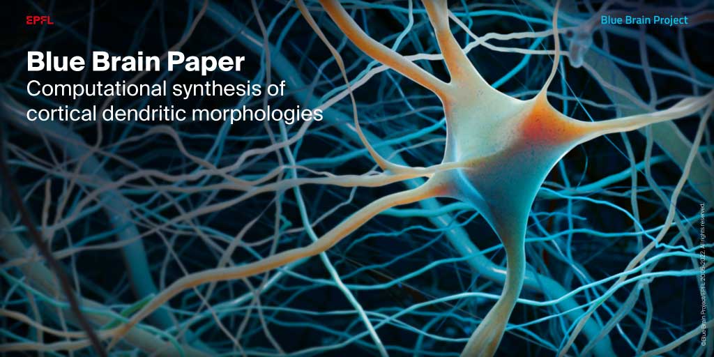 Blue Brain Builds Neurons with Mathematics

Read the new paper published in <a href="/CellReports/">Cell Reports</a> - doi.org/10.1016/j.celr…

Find out more – actu.epfl.ch/news/blue-brai…

Go to the #opensource Topological Neuron Synthesis algorithm – portal.bluebrain.epfl.ch/resources/mode…

<a href="/CellPressNews/">Cell Press</a>  #algebraictopology
