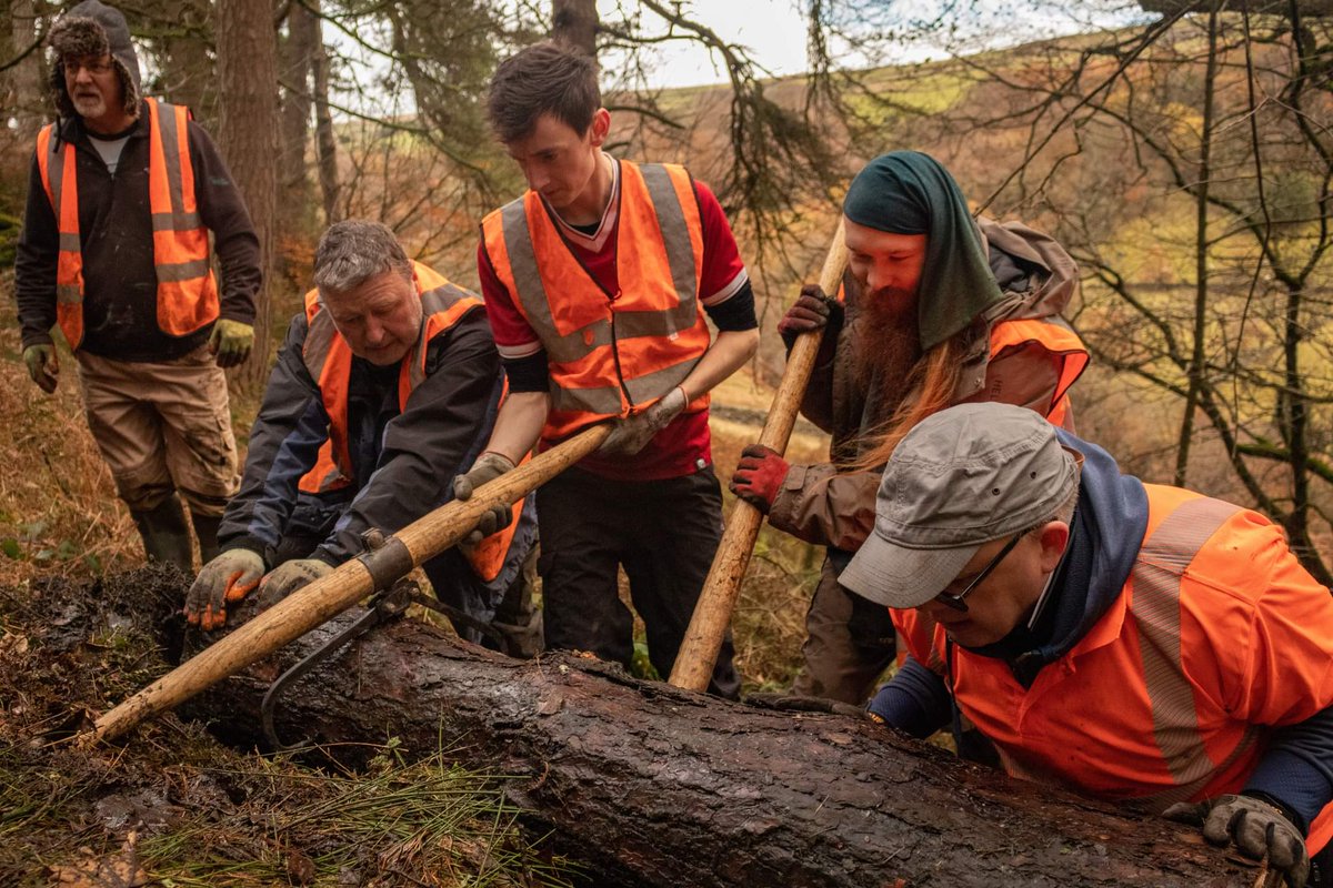 WildTroutTrust's tweet photo. New on #WTTBlog, @townsendlsamuel tells us how #volunteering @slowtheflow_UK @HardcastleNT inspired his #ECR project @hudgeog on #nfm &amp; @Riverflies 

https://t.co/CX2OtsGjCb
#scicomm #BSc https://t.co/7AbiH4nkyQ