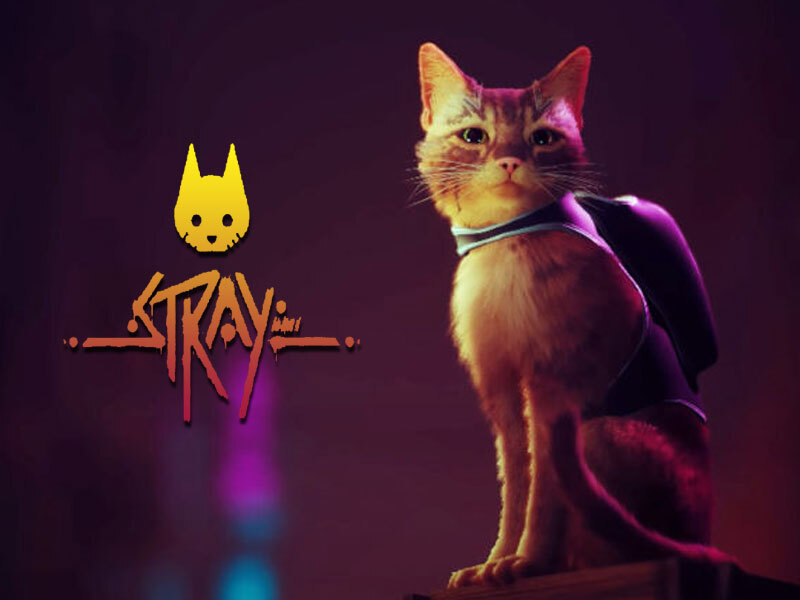 Audio Workshop tweet media