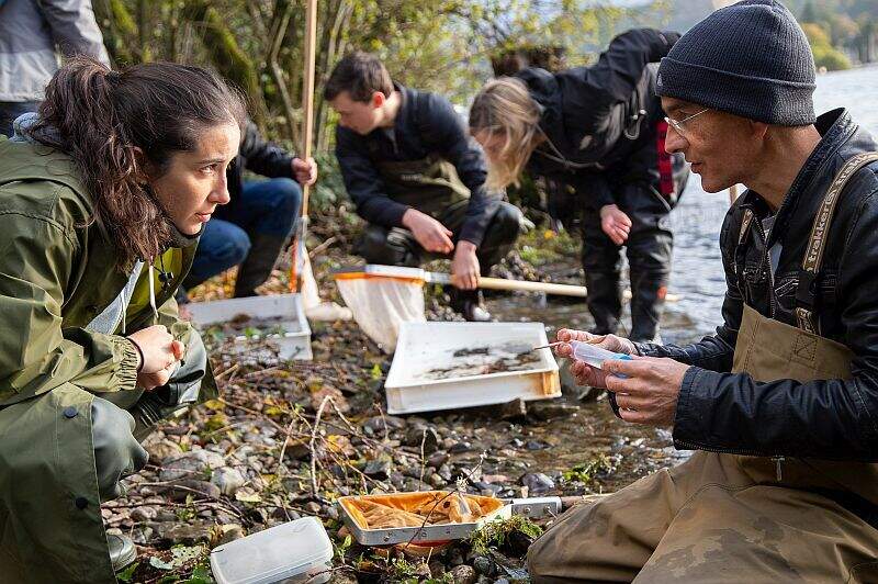 The Wild Trout Trust tweet media