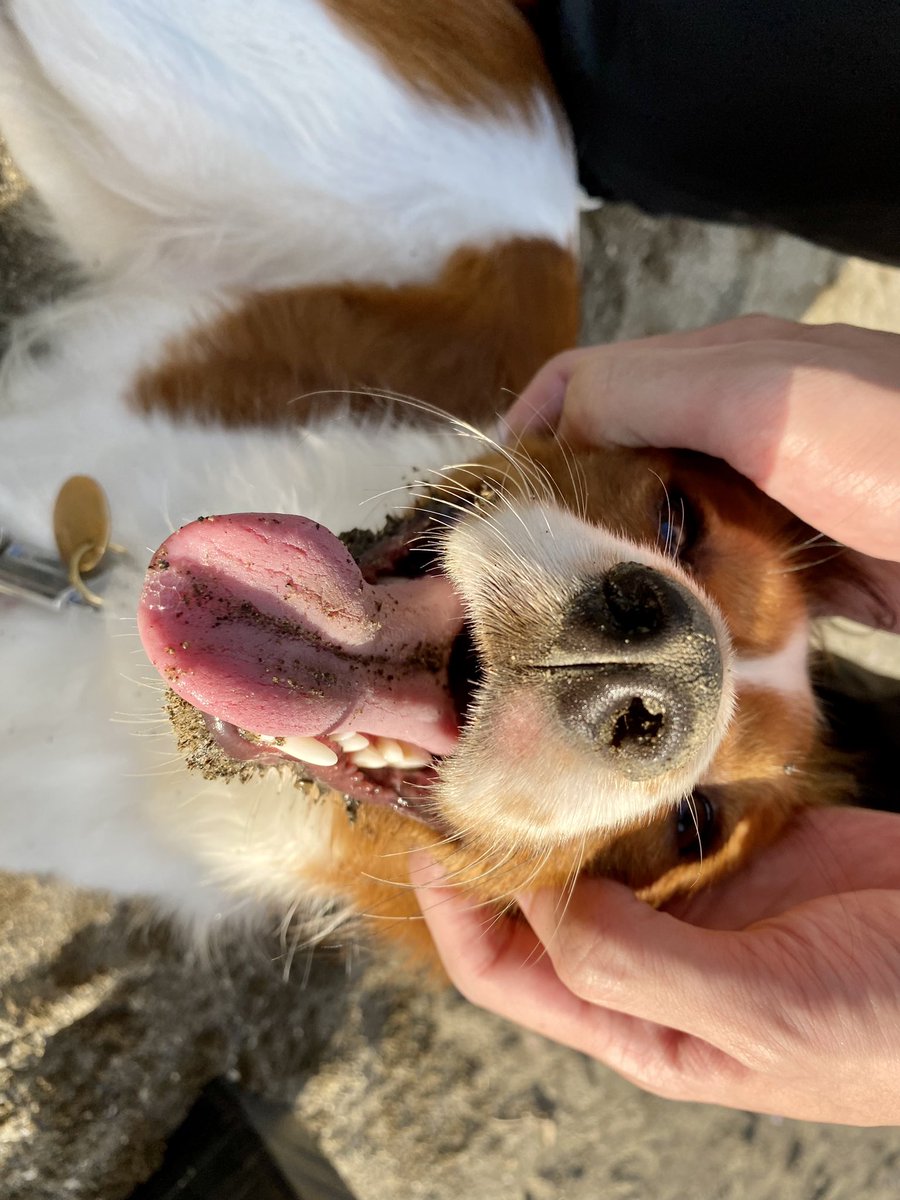 ホリホリ楽しかったお顔😆