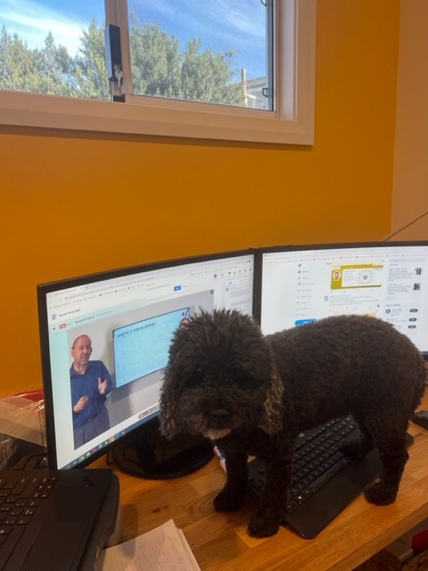 MMG9898's tweet photo. Flo is enjoying listening to me and @ITILzealot at #ServiceNorth @scopismnews #dogsofITSM #servicenorthselfies https://t.co/DI9qiPbigy
