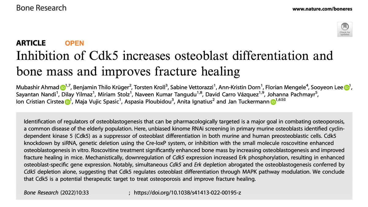 Does Cdk5 play a role in #BoneDevelopment? Yes, it does! Check out our recent paper showing that inhibition of Cdk5 increases #BoneMass and improves #FractureHealing. A big thank you to all the co-authors for contributing to this work #BoneResearch.
nature.com/articles/s4141…