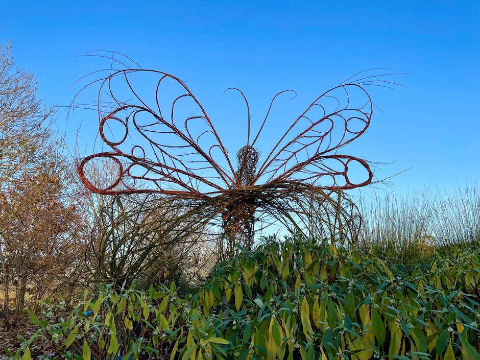 RHSHydeHall's tweet photo. The willow butterfly can now be found in the children's play area. It will stay there for the Easter holidays and will then make its way to our compost heap. But don't worry more living willow sculptures will return next winter! https://t.co/kOCPEOOXy7